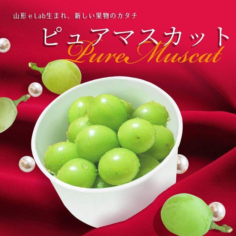 山形県産 ピュア シャインマスカット (4個入り)