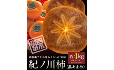 ◆先行予約◆和歌山県産 紀の川柿＜贈答用 赤秀＞ 9～13玉