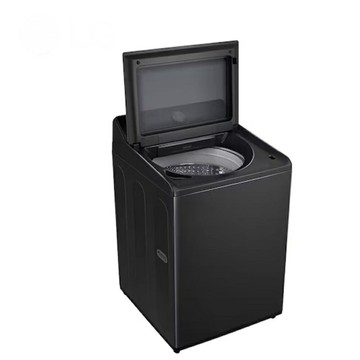 LG 樂金 16kg AI 智慧洗滌洗衣機 WT-TD16OB