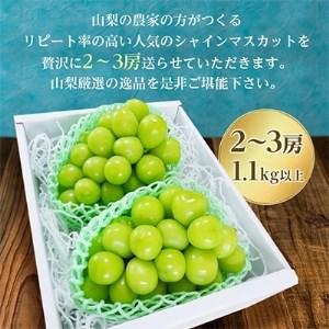 ふるさと納税 大人気!山梨のシャインマスカット2〜3房　1.1kg以上 ふるさと納税 山梨県山梨市