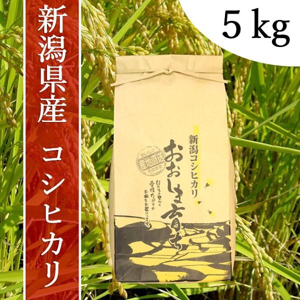 令和５年度産　おおしま育ち　コシヒカリ　玄米　５kg