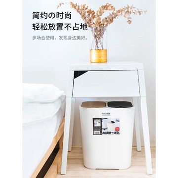 -日本進口ASVEL家用小號2桶分類垃圾桶干濕分離按壓帶蓋廚房客廳