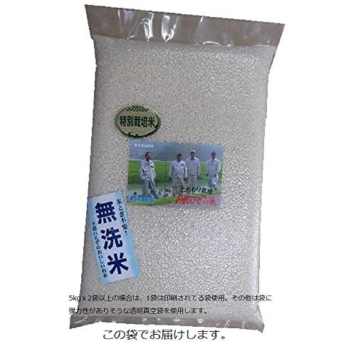 令和5年産特別栽培米（減農薬減化学肥料米）／兵庫県丹波まるきんのコシヒカリ (10kg(5kgx2), 無洗