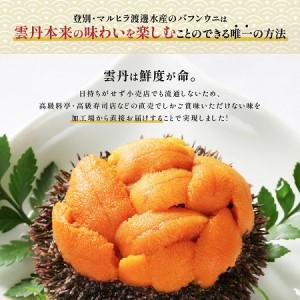 ふるさと納税  極上 エゾバフンウニ 折詰 100g C：24年1月下旬〜3月下旬迄　 北海道登別市