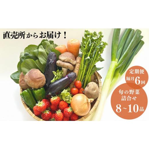 ふるさと納税 新潟県 糸魚川市 直売所からお届け！　旬の野菜セット（8〜10品詰め合わせ）　新鮮な野菜直送便