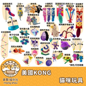 出清 美國 KONG CAT 貓玩具/貓咪玩具/貓草玩具/逗貓玩具/寵物玩具