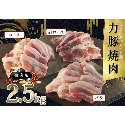 ふるさと納税 力豚焼き肉2.5kgセット 高知県大月町