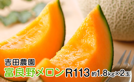 北海道 富良野 メロン R113 約1.8kg×2玉 (吉田農園)