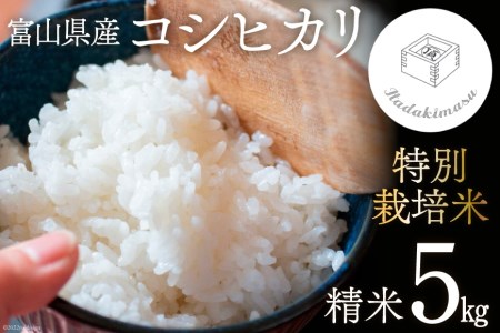 米 令和5年 特別栽培米 コシヒカリ 5kg   いただきます   富山県 朝日町 [34310010] お米 白米 ごはん こしひかり 美味しい