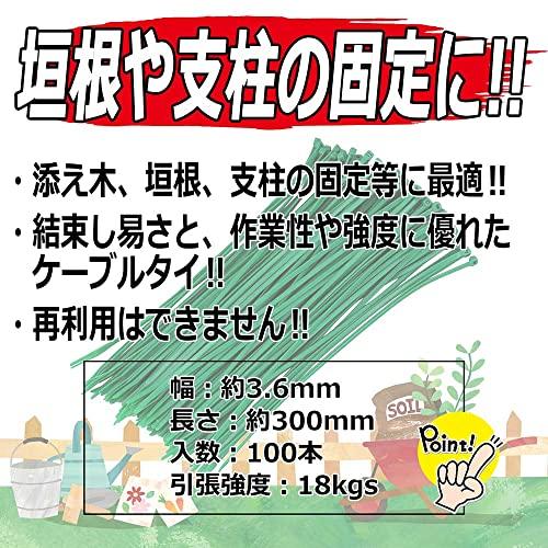 セフティー3 園芸用 誘引 結束 ガーデンバンド 長さ300mm 幅3.6mm 100本入 グリーン