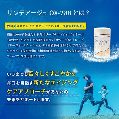 オキシリア SantéAge OX-288 サプリメント 180粒（サンテアージュOX  