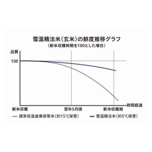 ふるさと納税 新潟県 南魚沼市 雪温精法　南魚沼産こしひかり4kg×全6回