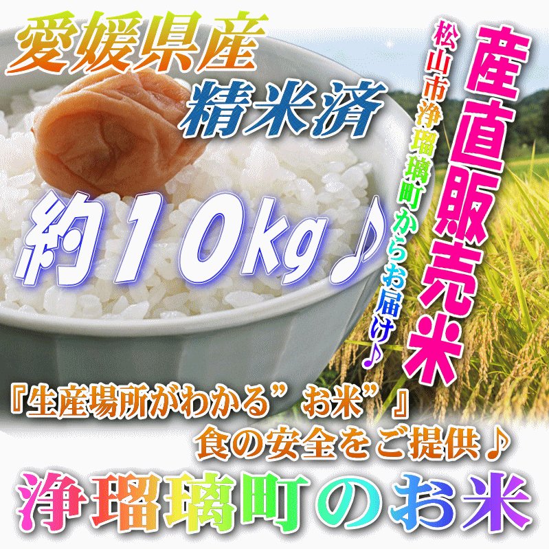 産直販売米10kg ※同梱・代引き不可