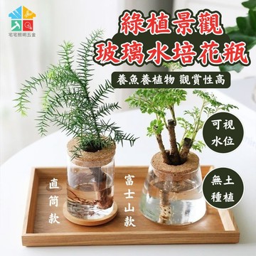 【含軟木塞|宅宅照明五金】玻璃水培造型花盆 水耕植物盆 懶人花盆 水培盆 可養魚 水耕 觀賞盆栽 多肉植物 懶人盆栽
