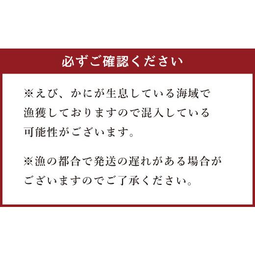 ふるさと納税 茨城県 神栖市 AQ-3 極上しらす干し 500g×1パック しらす シラス