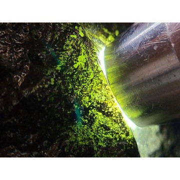 【七彩翡翠】全賭石 全賭料 莫西沙 神仙場口 上手沉重 皮殼緊緻 台灣現貨 4264g