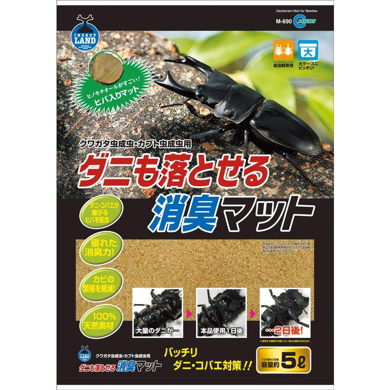 昆虫）国産カブトムシ幼虫（３匹） ＋ ＸＬマット カブト用 １０