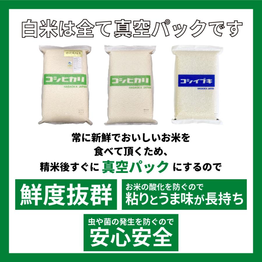 お米 ごはん白米 無洗米 5kg 5キロ 新潟県産 コシヒカリ こしひかり 令和5年産