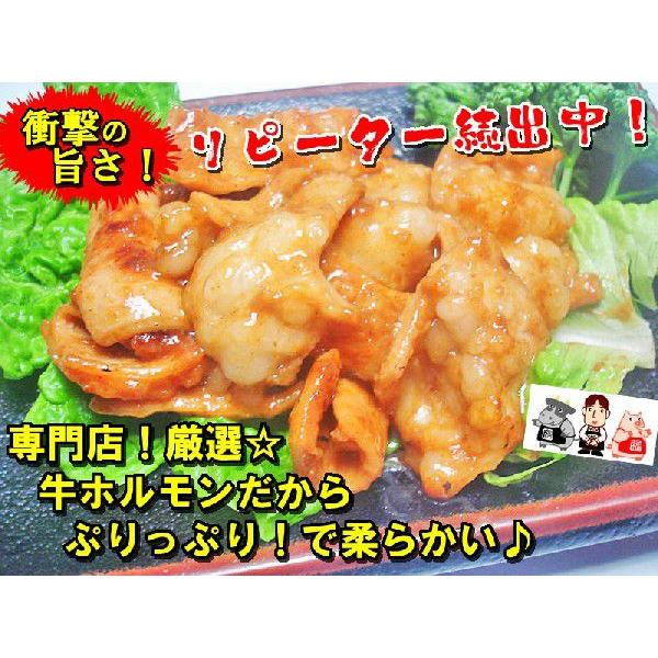 牛・豚・鶏ホルモン焼肉セット！