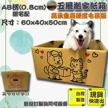 現貨 紙箱 60x40x50cm 五層AB楞 搬家紙箱 出貨紙箱 加硬 收納 包材 箱子 厚紙箱 宅配箱 郵局箱 大紙箱