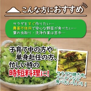 富士山の伏流水で農薬を使わず育てた新鮮レタス5種類×2株セット