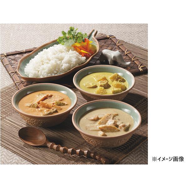 3種のタイ風カレーセット 4食 タイ風レッドカレー×2 タイ風イエローカレー タイ風グリーンカレー×各1 レトルト TS-20 税率8％