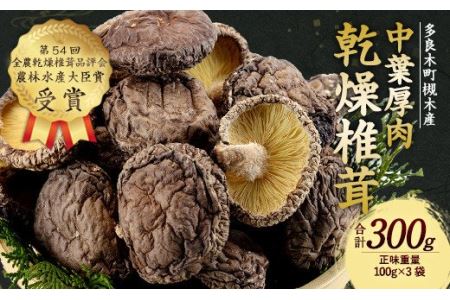 ＜2023年12月上旬発送開始＞槻木産 中葉厚肉 乾燥椎茸 計300g ＜100g×3袋セット＞ しいたけ 熊本県 多良木町 原木 シイタケ  026-0573