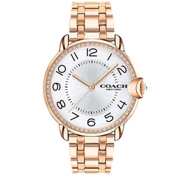 COACH Arden 簡約晶鑽女錶-銀/36mm(14503809)
