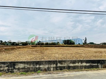 【每坪1.58萬】新屋近大坡國中6米路方正美田｜桃園市新屋區大坡