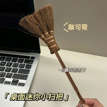 💥免運臺灣有貨💥迷你可愛桌麵清潔小掃把搞怪創意兒童清掃掃帚掃桌子灰塵閨蜜禮物