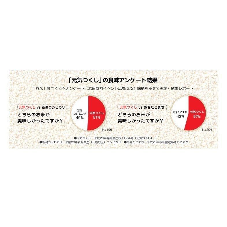 米10kg 元気つくし めし丸 福岡県産 5kg×2 送料無料 無洗米 九州 令和5年産