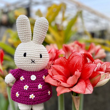 荷蘭 Just Dutch | Miffy 米飛兔 編織娃娃和她的櫻桃紅花朵洋裝