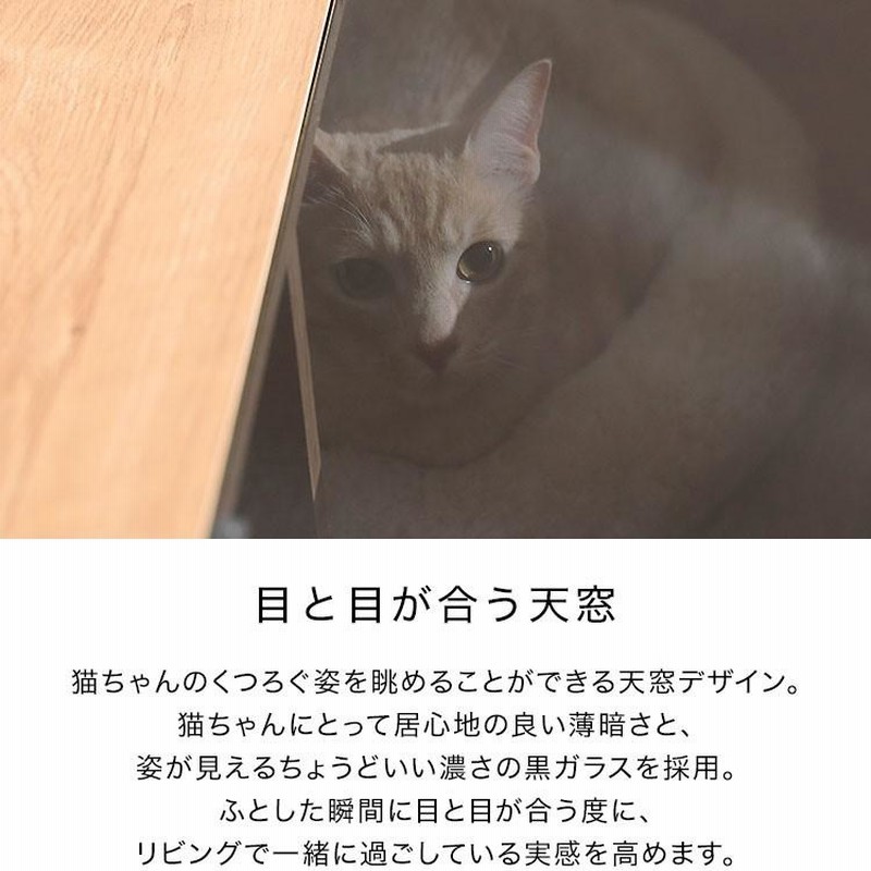 センターテーブル テーブル 猫 ローテーブル リビングテーブル センターテーブル テーブル 猫 ローテーブル リビングテーブル