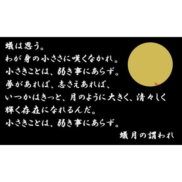 お歳暮キャンペーン 博多 もつ鍋 蟻月 白のもつ鍋 特製白みそ味 ２個セット(各2〜3人前)