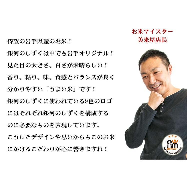 新米 お米 5kg 送料別 白米 銀河のしずく 岩手県産 令和5年産 1等米 お米 5キロ 食品