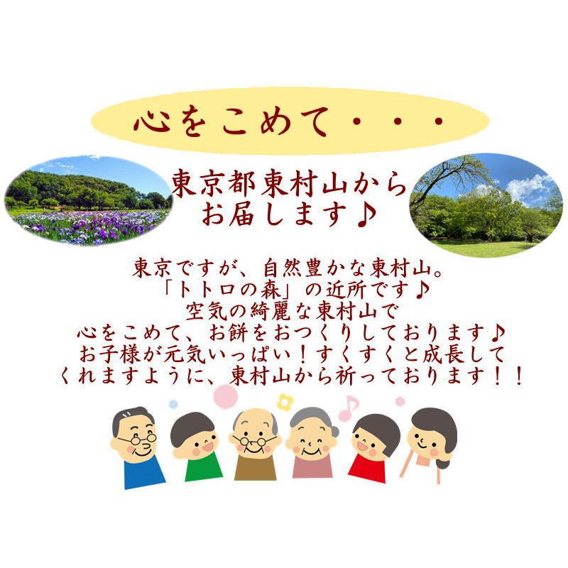 一升餅 人気 送料無料 シンプルセット 一生餅 背負い餅 一升餅 カット 済み 不織布風呂敷付 丸いお餅 も選べます