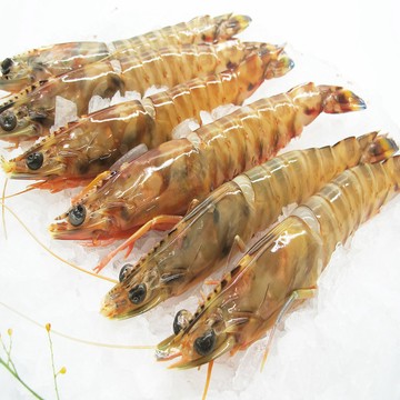 華得水產 野生特大明蝦2盒(3-4尾/400g/盒)