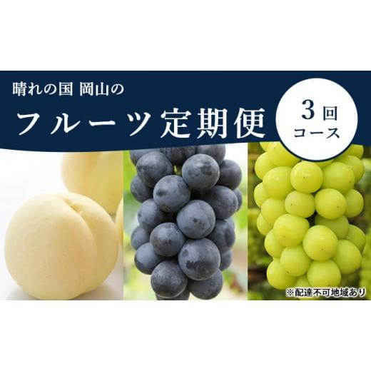 ふるさと納税 岡山県 岡山市 桃 ぶどう 定期便 2024年 先行予約 晴れの国 岡山 の フルーツ 定期便 3回コース もも モモ 葡萄 ブドウ 岡山県産 国産 セット ギ…