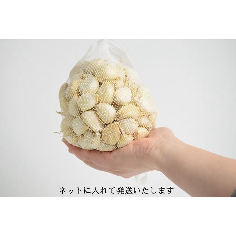 (産直) にんにく 青森県産 こちらは生産者直送のニンニクです 小粒・中粒 約100粒 送料無料 バラ 500g ニンニク 津軽にんにく 青森