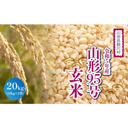 ふるさと納税 山形県 鮭川村 令和5年産　山形95号20kg（10kg×2袋）山形県鮭川村