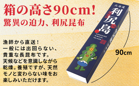 利尻昆布 北海道 熟成 昆布 1kg （20枚程度） 化粧箱入り 漁師直送！ こんぶ コンブ だし 出汁 だし昆布 海産物 加工食品 乾物 利尻