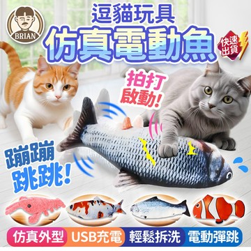 電動仿真魚【布萊恩👨🏻隔日到貨】跳跳魚 逗貓玩具 電動魚 USB充電玩具 跳跳蝦 電動跳跳魚 電動搖擺魚 狗玩具 玩具