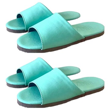 TAIWAN SLIPPER 台灣犀利趴 簡約皮質室內拖鞋 皮質鞋面 防塵防污 皮質內裡 軟質發泡鞋底 防滑  L  綠色  2雙