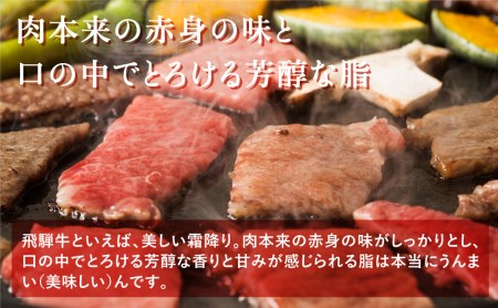 飛騨牛 すき焼き 食べ比べ 500g 肩 ロース 肉 もも 赤身 霜降り すきやき しゃぶしゃぶ 霜降り 飛騨 鍋 家族 友人と 牛肉 国産 岐阜県 黒毛和牛 和牛 A4 贅沢 祝 プレゼント 冷凍 人気 おすすめ ランキング お歳暮 敬老の日 ギフト JA ひだ 25000円 [S341]