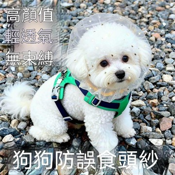 🏆臺灣熱賣好物🏆防偷吃亂吃網紗狗狗頭套小型犬泰迪比熊防咬防誤食麪罩防舔嘴套