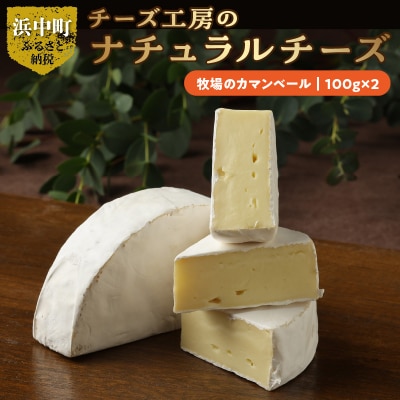 チーズ工房のナチュラルチーズ　牧場のカマンベール100g×2