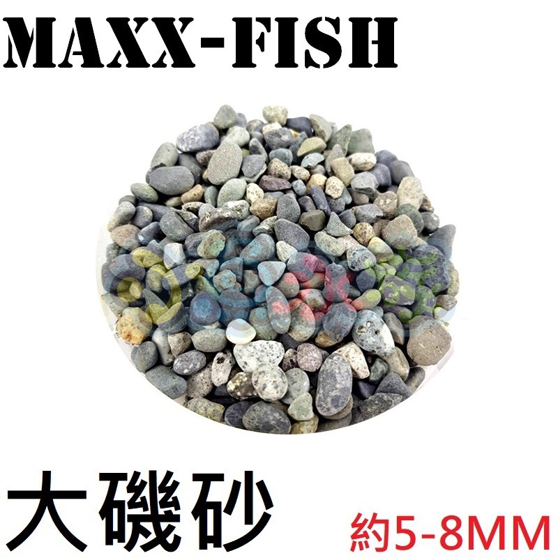 小魚水族 Maxxfish造景底砂 大磯砂 1kg 大小約5 8mm 日本愛用水草專用砂之一 舊 蝦皮 購物 Line購物