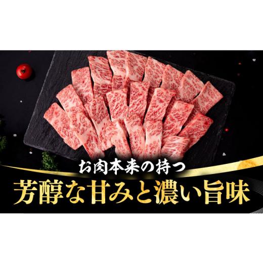 ふるさと納税 長崎県 壱岐市  壱岐牛 焼肉用 バラ（カルビ）500g《壱岐市》 肉 牛肉 焼肉 バラ カルビ BBQ [JFE022] 8400…