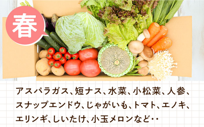 豪華！野菜 セット 15品目以上 12回 定期便   野菜 フルーツ きのこ 詰め合わせ 南島原市   吉岡青果 [SCZ019]