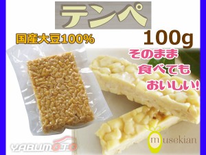 テンペ 100g 国産大豆 100％ 大豆発酵食品 てんぺ 後味が違う 夢石庵 むせきあん 410 税率8％